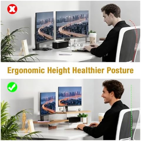 YGYQZ Adjustable Monitor Stand Riser, 9.4" ×19.3" Dual Monitor Desk Stand