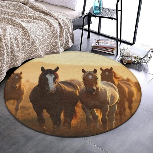 Large Machine Washable Circular Rugs, Home Decor Round Mat for Living Room Sofa Office Horse