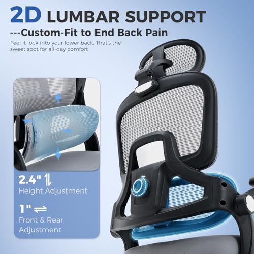 Office Chair with Adjustable Lumbar Support, Ergonomic Desk Chairs, Gray
