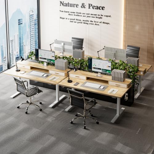 Grandder Electric Standing Desk with Two Drawers, Sit to Stand Up Height Adjustable Desk with Storage Shelf for Home Office, 63 * 24 Inch, Study, Ergonomic Adjustable Computer Desk, Oak