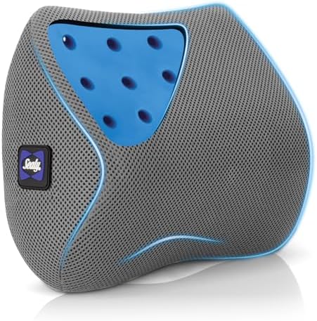Sealy Ergonomic Car Neck Cushion – Memory Foam Neck Pillow for Car or Office Chair, Travel Neck Pillow,