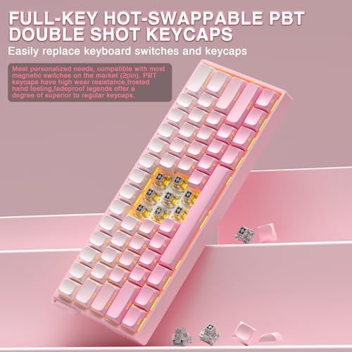 Aula WIN60 HE - 60% Mechanical Gaming Keyboard Wired, Hall Effect Magnetic Switch Hot Swappable,8000 Hz Polling Rate, RGB Keyboard 60 Percent Compact Design for PC (Gradient Pink)