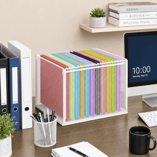 LEKETREE Mesh Hanging File Organizer Box for Desk, White 1 Pack