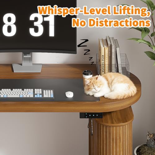 Electric Standing Desk with Storage, 55" Mid Century Modern Sit Stand Desk