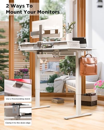 FiCiHi 55x24 Inch Electric Standing Desk, 4 Drawers, Adjustable Height Desk