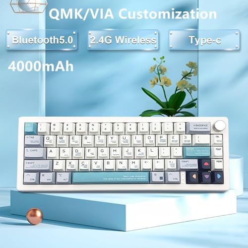 BOYI GMK67 Barebones Keyboard Kit,VIA Programmable Custom BT5.0/2.4GHz/Type-C Tri-Mode Gasket Mounted Hot Swap RGB 4000mAh Wireless 65% Mechanical Gaming Keyboard DIY Kit with Knob(White)