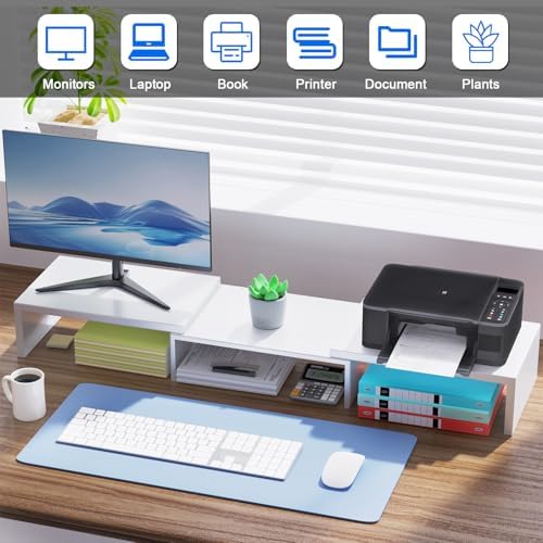 Dual Monitor Stand Riser