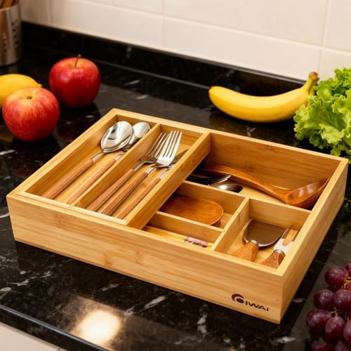 COIWAI 2-Tier Kitchen Utensil Silverware Drawer Organizer cutlery Silverware Tray Utensil Hoder,Bathroom dressing table Makeup drawer organizer box tool Stationery Cosmetics Storage Box
