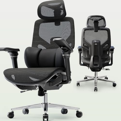 S9 Ergonomic Office Chair 3-Zone Lumbar Support for Back Pain Relief