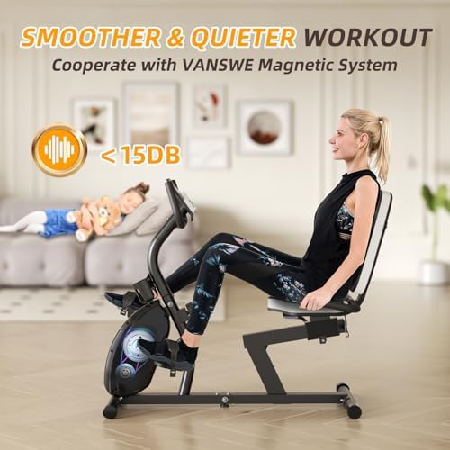 VANSWE Recumbent Exercise Bike for Home Seniors with 380 LB Weight Capacity