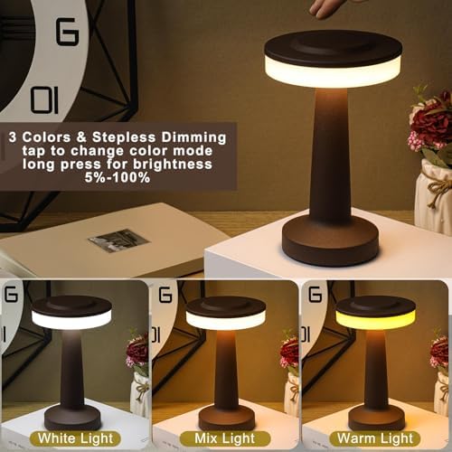 Riakrum 1 Pcs LED Cordless Table Lamp Bulk Rechargeable,Brown