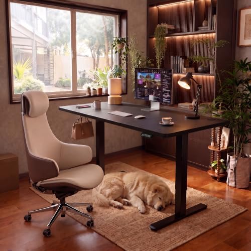 Furmax 55 Inches Electric Height Adjustable Standing Desk Home Office Desk