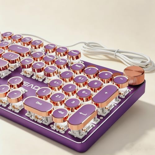 Wired Typewriter Mechanical Keyboard, Retro Punk Keyboard with Media Knob