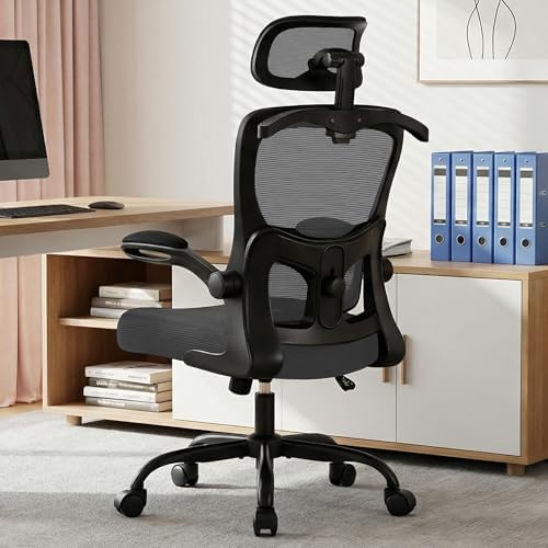 AreShark Ergonomic Office Chair, Desk Chair with Adjustable Lumbar Support