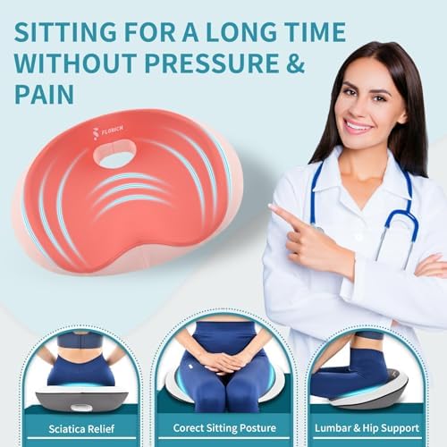 FLORICH Seat Cushion Lumbar Support Pillow for Office Chair, Car Lower Back Support, Ergonomic Desk Chair Pillow for Butt and Back Support of Memory Foam Seat Pad(Blue Pink)