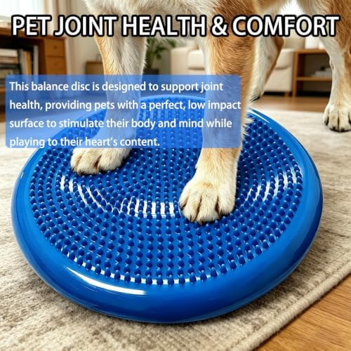 Rancer Wobble Cushion Balance Disc with inflation Pump, Wiggle Seat