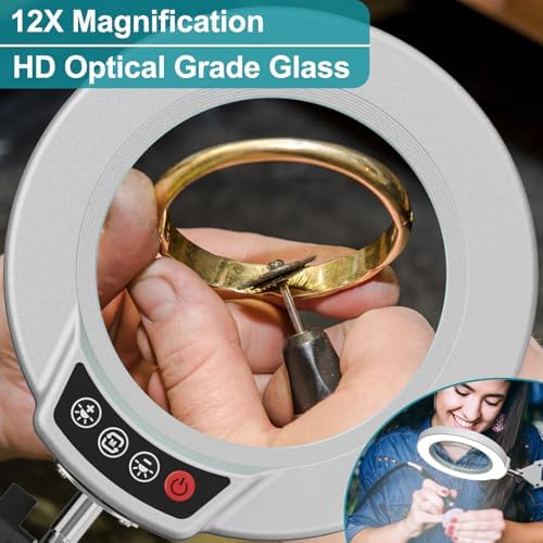 12X Magnifying Glass with Light and Stand, 5 Color Modes, Brightness Stepless Dimmable LED Lighted Magnifier Hands Free, 2-in-1 Desk Lamp & Clamp Light, Magnifier Lamp for Crafts - Silvery