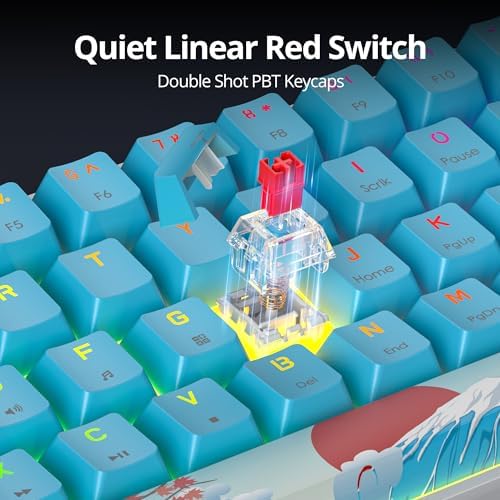 Owpkeenthy 60% Wired Mechanical Keyboard