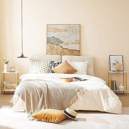 HOOBRO Side Table with Charging Station, Set of 2 End Tables with USB Port and Outlet, Nightstand with 2-Layer Storage Shelves for Small Spaces, Living Room, Bedroom, Gold and Marble DM09UBZP201