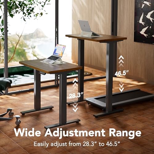 HUANUO 48x24 Inch Electric Standing Desk, Height Adjustable, Walnut