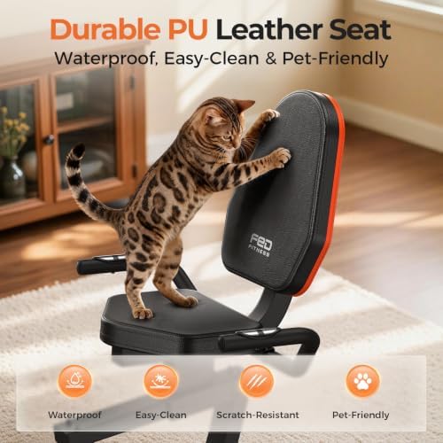 YOSUDA Recumbent Exercise Bike for Home，Magnetic Staionary Bike for Seniors