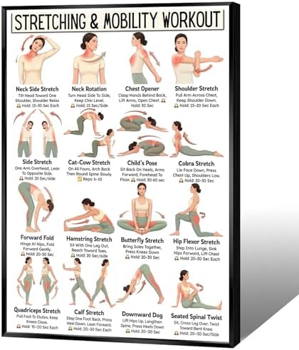 Stretching & Mobility Workout Poster, 16 Illustrated Full-Body Flexibility Training Chart with Hold Time Guides, Bodyweight Neck Hip Shoulder Stretch Reference for Post-Workout Recovery & Daily Mobility Improvement(20x30inchs，Black Framed)