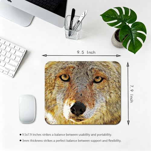 9.5x7.9 Inch Office/Gaming Mouse Pad, Cool Yellow Brown Hairy Wolf Head with Bright Eyes Cute Anti-Slip Mat for Desk
