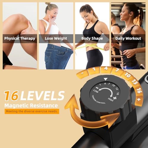 VANSWE Recumbent Exercise Bike for Home Seniors with 380 LB Weight Capacity
