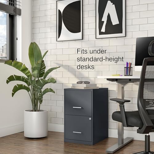 Staples Vertical File Cabinet, Letter/Legal, 2-Drawer, Locking, Graphite