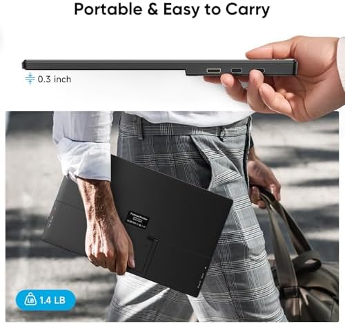 Dopesplay 15.6" Travel Portable Monitor with Kickstand & Sleeve, Black