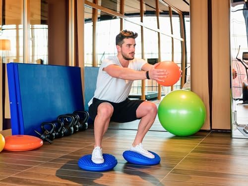 FitBALL Disc O' Sit Back Strengthener -Disc'O'Sit Balance Cushion