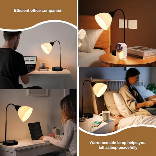 Desk Lamps, Table Lamps for Bedrooms with 2 USB Port, Stepless Dimmable Bedside Lamps, Adjustable Lamp for Living Room, Small Lamps for Office Reading, Nightstand Lamps with 5W LED Bulb
