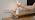AUDLES White Cordless Table Lamp Set of 2, USB Rechargeable Touch Dimmable