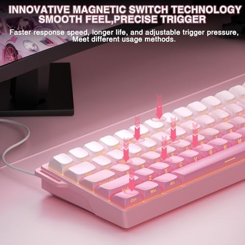 Aula WIN60 HE - 60% Mechanical Gaming Keyboard Wired, Hall Effect Magnetic Switch Hot Swappable,8000 Hz Polling Rate, RGB Keyboard 60 Percent Compact Design for PC (Gradient Pink)
