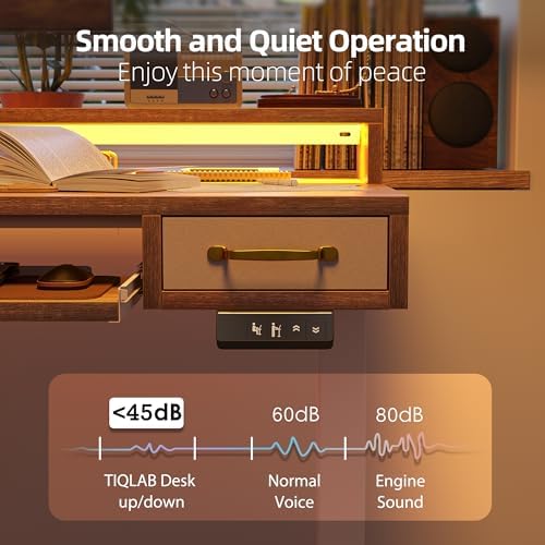 TIQLAB Standing Desk with Two Drawers, Stand Up Standing Desk Adjustable Height, Electric Sit Stand Table with Storage Shelf and Splice Board, with LED Light, 55 * 28 inch, Maple