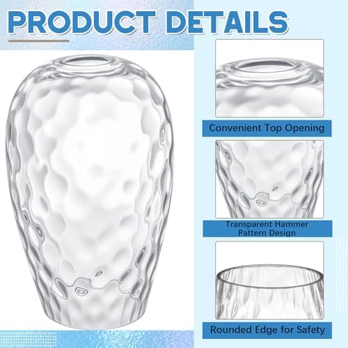 Teenyyou 1 Set Oval Glass Lamp Shade Replacement, Clear Ripple
