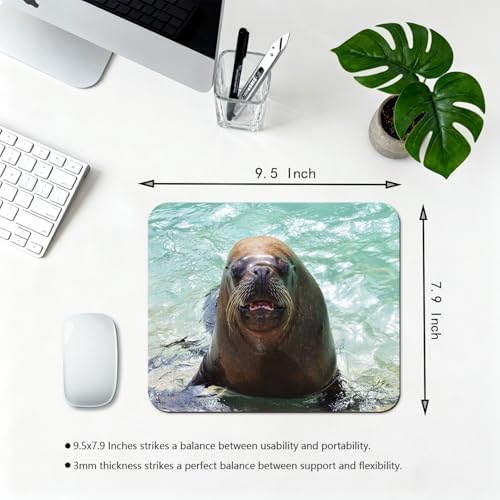 9.5x7.9 Inch Office/Gaming Mouse Pad, Funny Sea Lion Cute Anti-Slip Mat for Desk