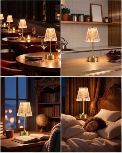 Nusogon Cordless Touch Table Lamp, Premium Rechargeable LED Small Desk Lamp