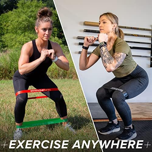 Serious Steel Fitness Mini Resistance Loop Bands | Rehab and Prehab Stretch Bands | 12" Exercise Workout Bands (Sets of 5 Pack and Sets of 10 Pack Trainer Options Available!)