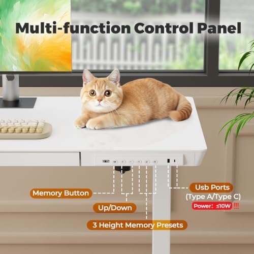 32" Electric Standing Desk with Drawer, Rolling Laptop Desk