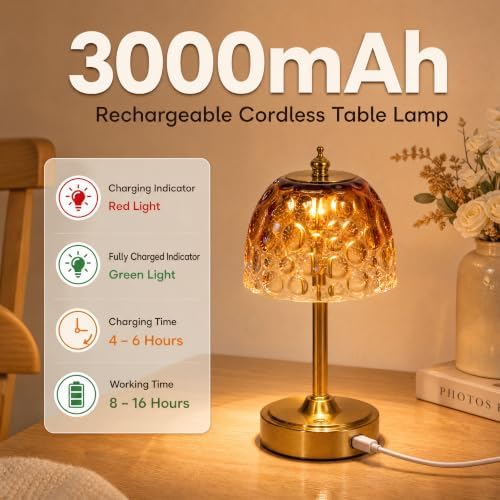 Mini Rechargeable Cordless Touch Table Lamp, Battery Powered, Amber Bubble Glass Shade, 2600mAh, 3 Color Temperatures, Stepless Dimming, for Bedside Dresser Bookshelf