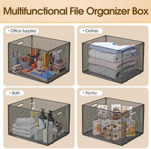 MaxGear Hanging File Organizer Box,Letter Size File Folder Organizer,2 Pack
