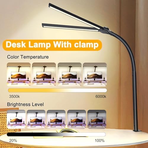 Double Head LED Desk Lamp for Office - Eye Caring Lamp with Clamp