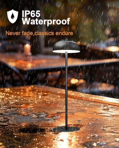 Cordless Table Lamps, Rechargeable LED Touch Lamp, Black, 4 Pack