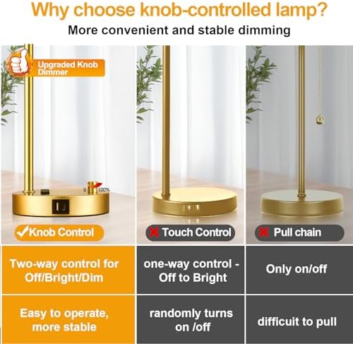 Lynnoland Set of 2 Industrial Table Lamps with USB Port, Gold Fully Stepless Dimmable Bedside Lamps for bedrooms, Nightstand Desk Lamp with Clear Glass Shade for Reading Living Room Office 2 LED Bulb