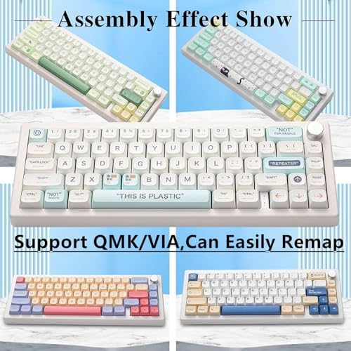 BOYI GMK67 Barebones Keyboard Kit,VIA Programmable Custom BT5.0/2.4GHz/Type-C Tri-Mode Gasket Mounted Hot Swap RGB 4000mAh Wireless 65% Mechanical Gaming Keyboard DIY Kit with Knob(White)