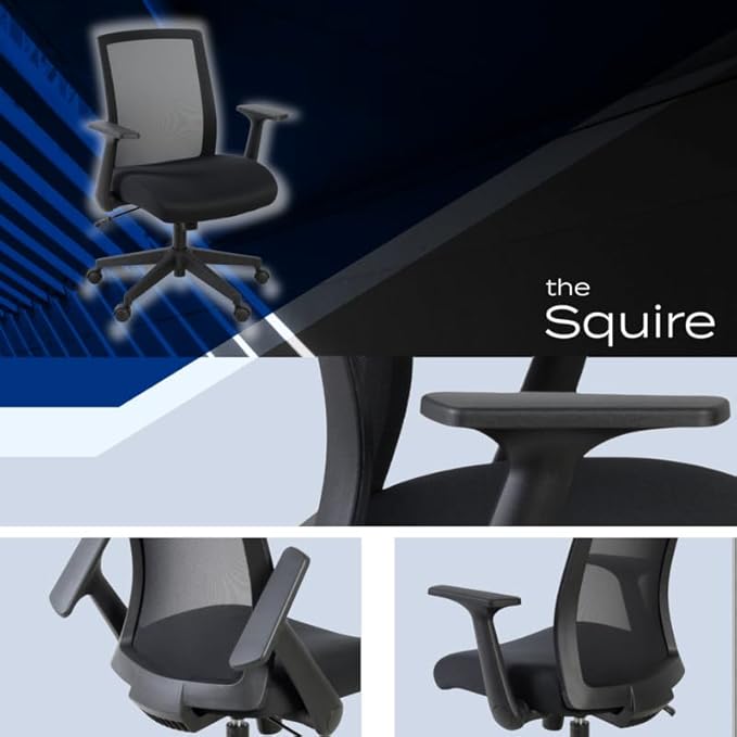 Romig Squire Ergonomic Mesh Office Chair with Adjustable Lumbar Support, Breathable Mesh Back, Flip-Up Arms, Rolling Base, Commercial-Grade Task Seating for Offices Home Workspaces and Conference