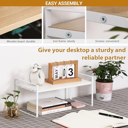 YGYQZ Desk Shelf Organizer, 1-Tier Desktop Bookshelf, White