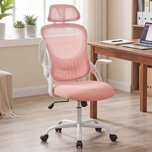 Computer Chair, Mesh Office Desk Chair with Lumbar Support