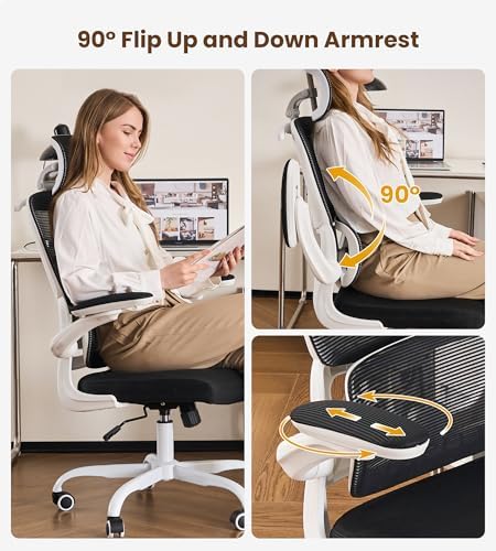 Ergonomic Office Chair, Executive Chairs with Adjustable Lumbar Support